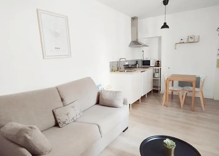 Stylish Cocoon: Studio Tout Confort Au Coeur De Pau