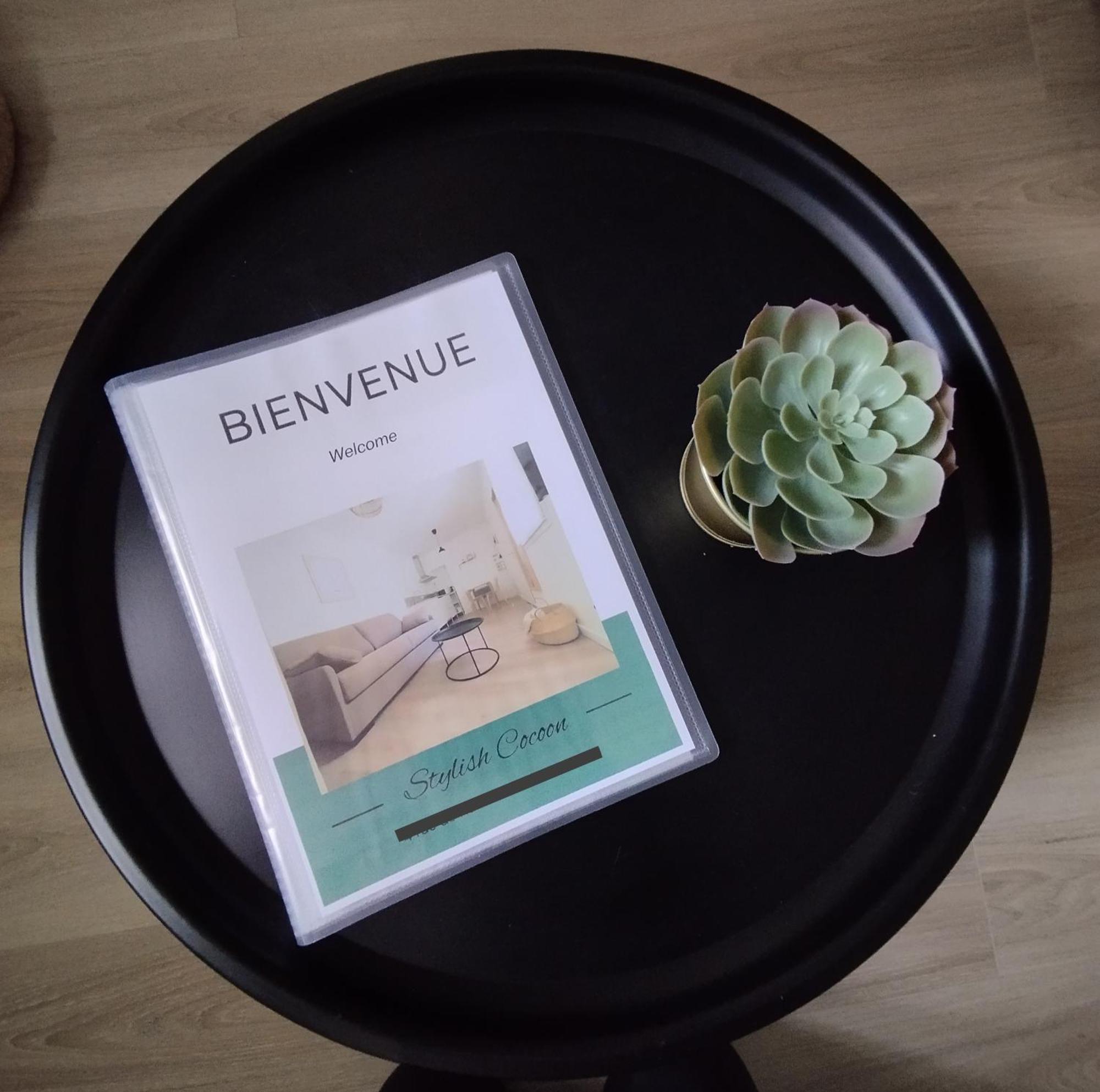 Stylish Cocoon: Confort Au Coeur De Appartement Pau